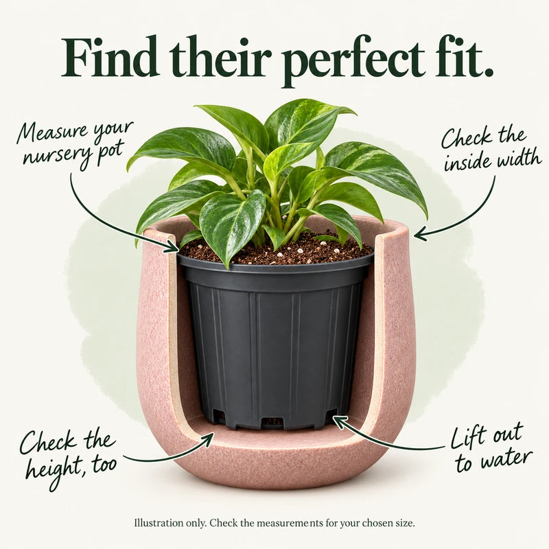 Size guide: measure the nursery pot’s widest rim and height, check the decorative pot’s inside width and depth, and lift the nursery pot out to water. Illustration only; check measurements for your chosen size.