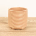 Admired for their distinct patterns and vibratn colours, these superb Putty Grooves pots are a must-have if you're looking to showcase your fresh houseplant friend!