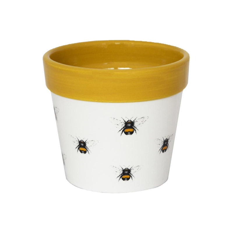 A lovely ceramic plant pot with a yellow rim, white base colour and a cheerful bumble bee pattern that is sure to be adored.