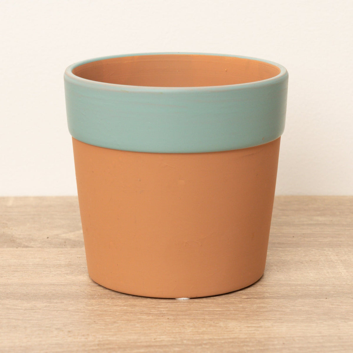A superb terracotta Cottage Garden Pot with a blue outer rim - perfect for combining with all sorts of houseplants for a decorative flourish!