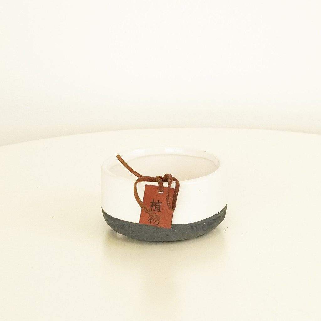 Feng Shui Ceramic Bowl - White