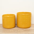 Arley Ceramic Plant Pot - Yellow