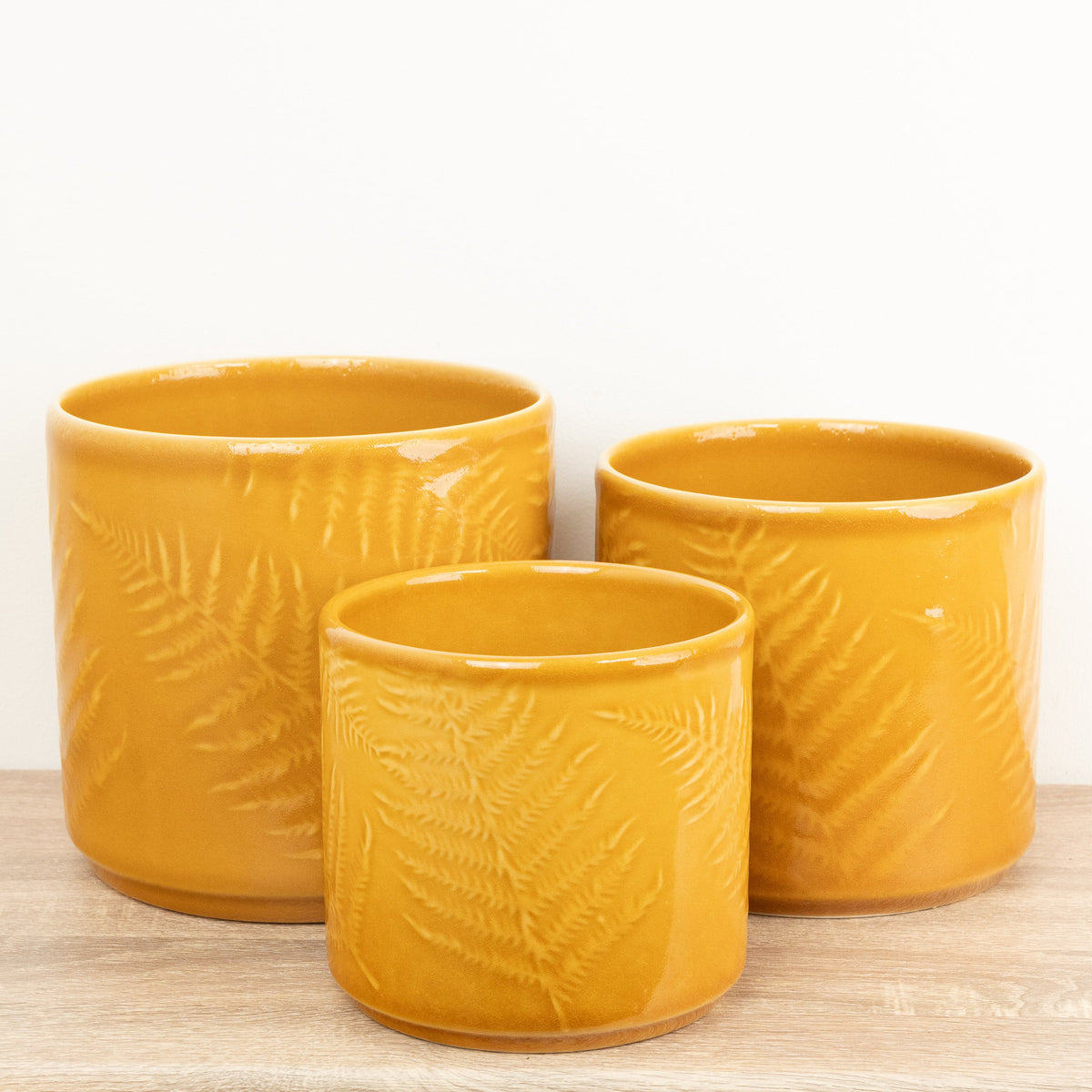 Orla Fern Ceramic Plant Pot - Mustard