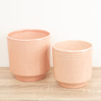Clover Pot - Dotted Pink