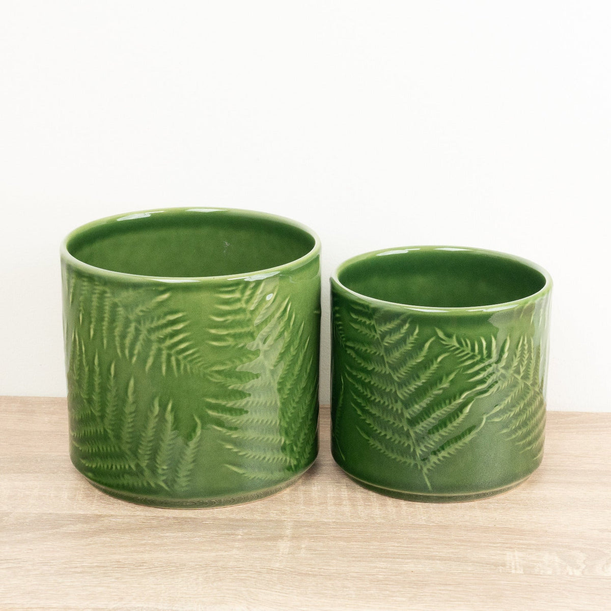 Orla Fern Ceramic Plant Pot - Green