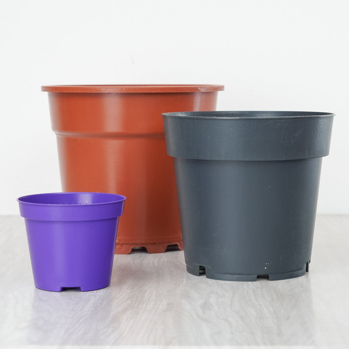 Pre-loved Nursery Pots - Assorted