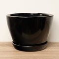 A stunning 'Destiny' decorative ceramic thick rim plant pot in black.