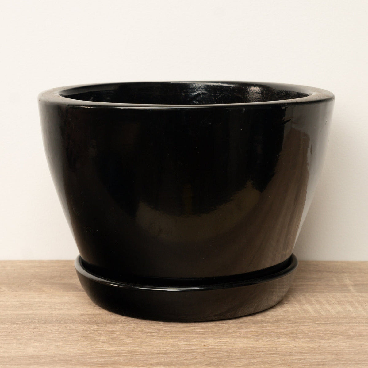 A stunning 'Destiny' decorative ceramic thick rim plant pot in black.