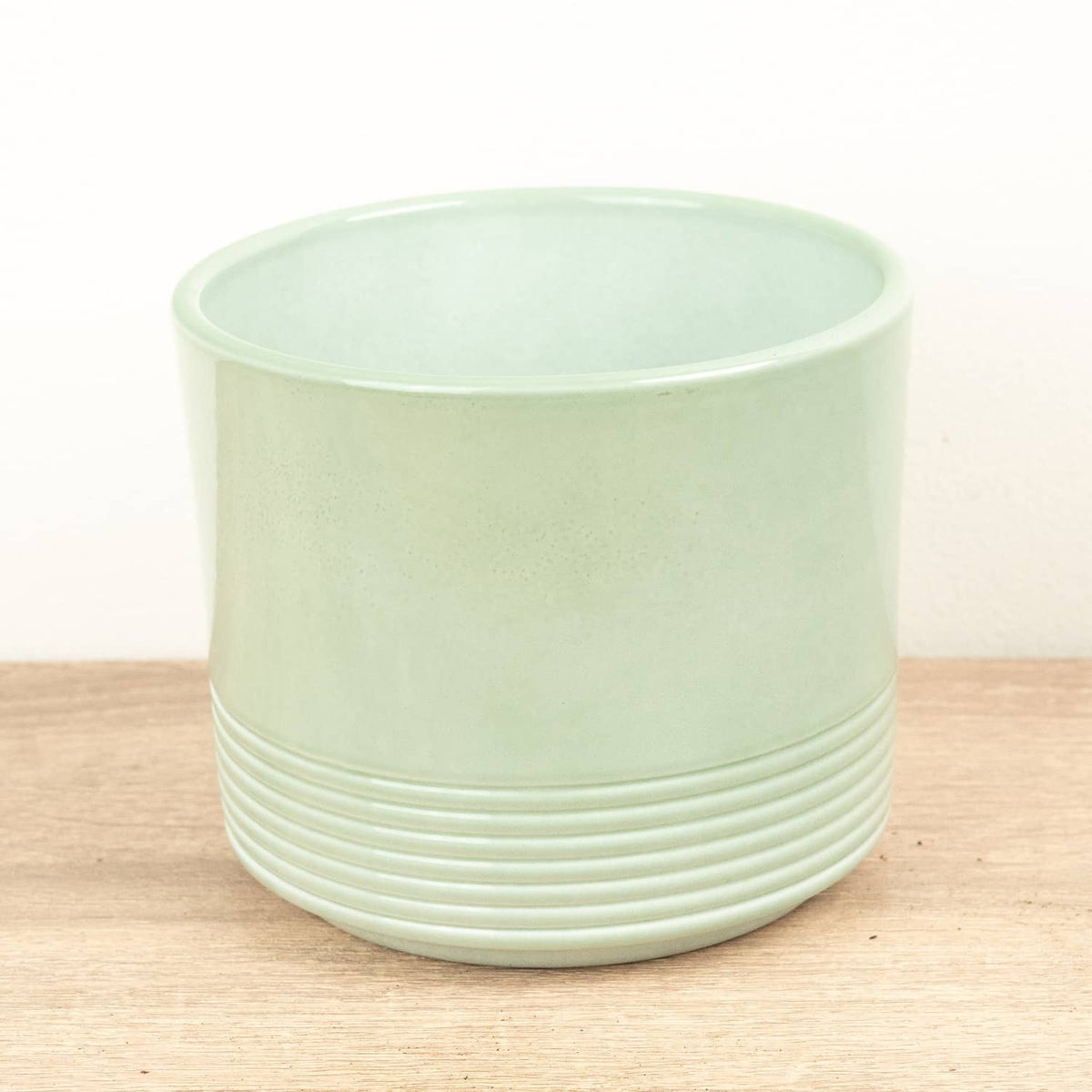 A stunning 'Munich' Green Gloos decorative houseplant - admired for their gentle curves, vibrant green style and lower lined potion with art deco vibes.