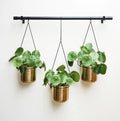 Hanging Planters - Gold & Black