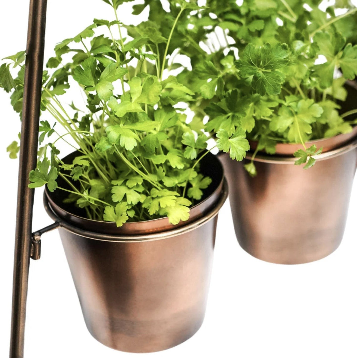 Modern Vertical Plant Stand - Gold Bronze