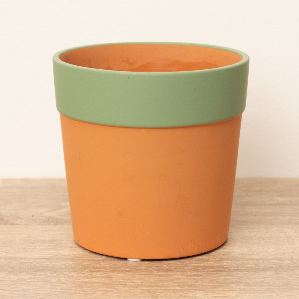 A ceramic terracotta-coloured Cottage Garden Pot with a green rim -strong, sturdy and perfect for combining your fresh friends!