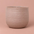 Celeste ceramic plant pot in Dusky Pink