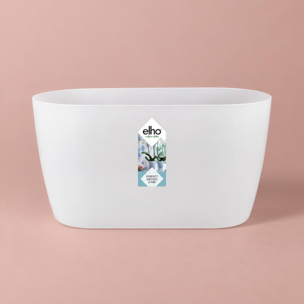 Brussels Duo Orchid Pot in Transparent