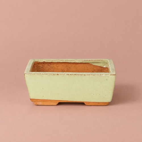 Bonsai ceramic plant pot in pale green