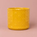 Arley yellow/orange plant pot with bee design