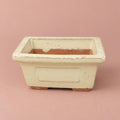 Ivory ceramic Bonsai pot with a rectangular shape
