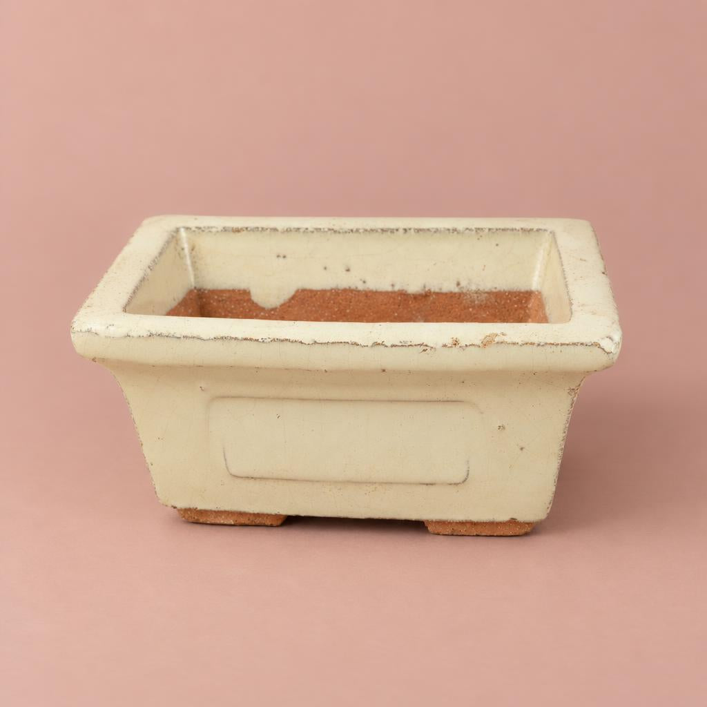 Ivory ceramic Bonsai pot with a rectangular shape