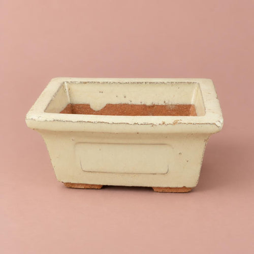 Ivory ceramic Bonsai pot with a rectangular shape