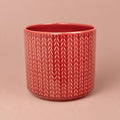 Ruby Red Chevron pot with a white chevron pattern