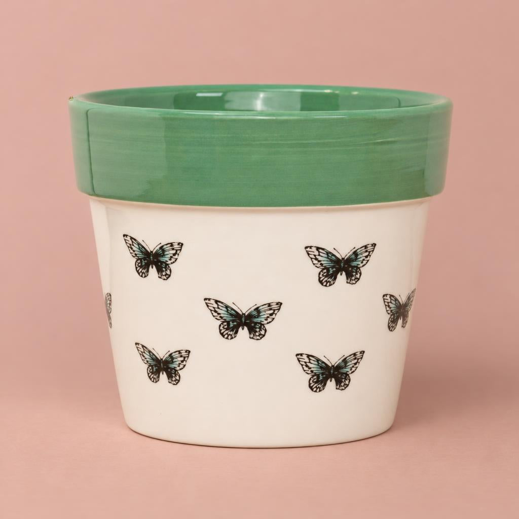 Butterfly plant pot in mint green with a soft white background