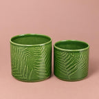 Green Orla Fern ceramic pot with a decorative fern pattern