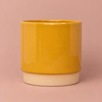 Eno Mustard pot with a creamy-beige lower quarter