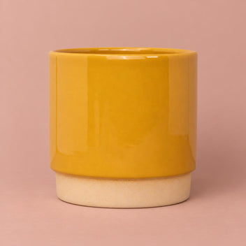 Eno Mustard pot with a creamy-beige lower quarter