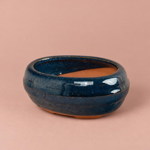 Blue oval ceramic bonsai pot with a low profile
