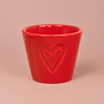 Boston plant pot