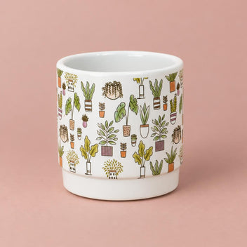 Botanical plant pot with a rimmed top