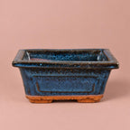 Blue Bonsai ceramic plant pot