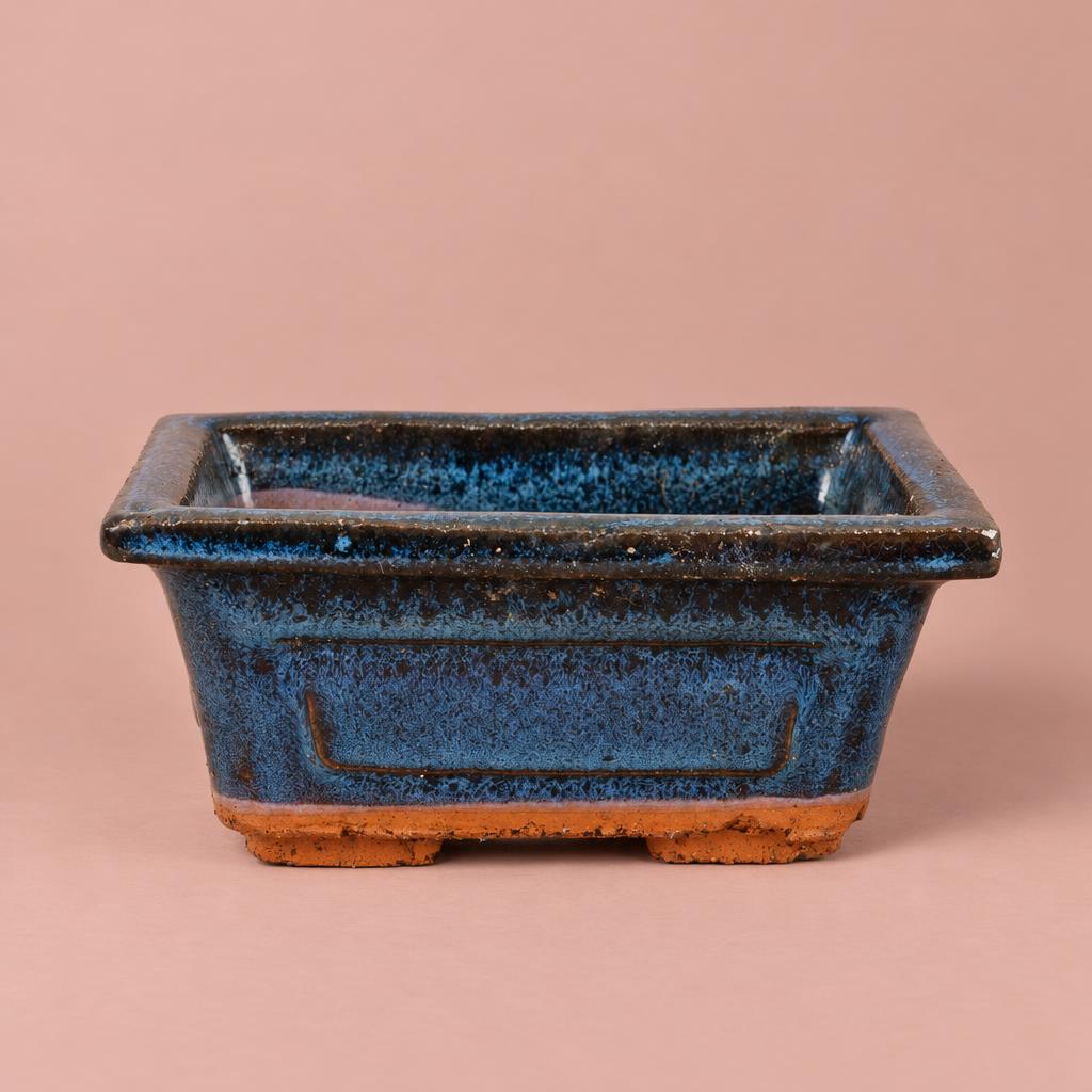 Blue Bonsai ceramic plant pot