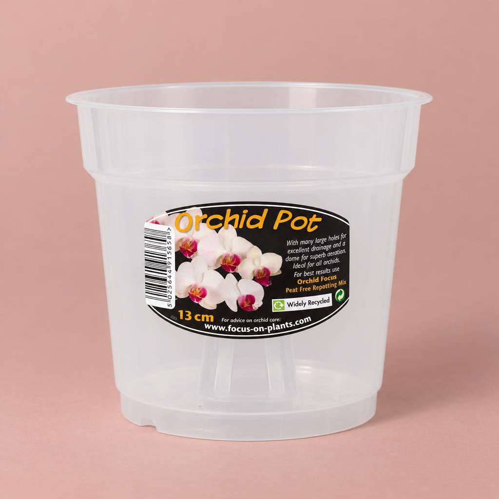 Transparent orchid grow pot