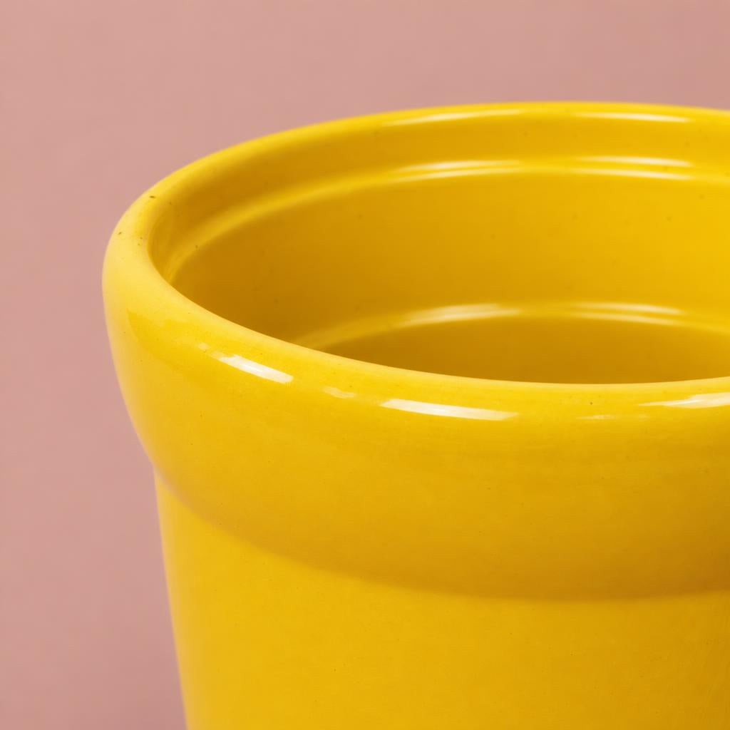 Wide Rim Pot Indoor Plant Pot | Yellow