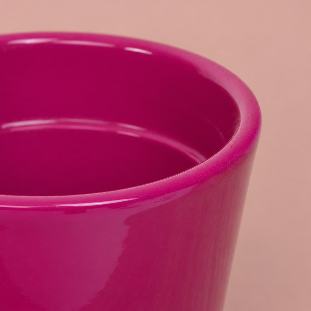 Ollie Indoor Plant Pot | Fuchsia
