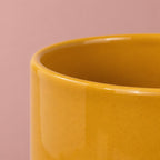 Mustard Eno plant pot with a contrasting beige base
