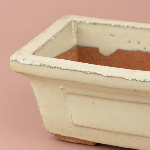 Bonsai pot in ivory ceramic