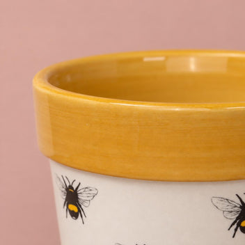 Bumble Bee Pot with a bee pattern